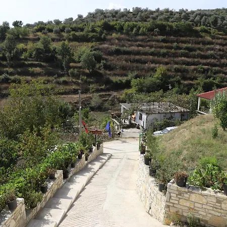 Villa Rexho *